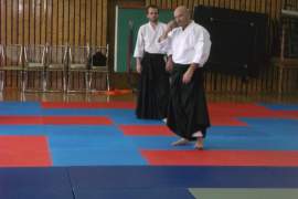 Pokaz walk aikido