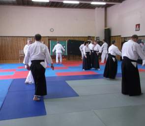 Pokaz walk aikido